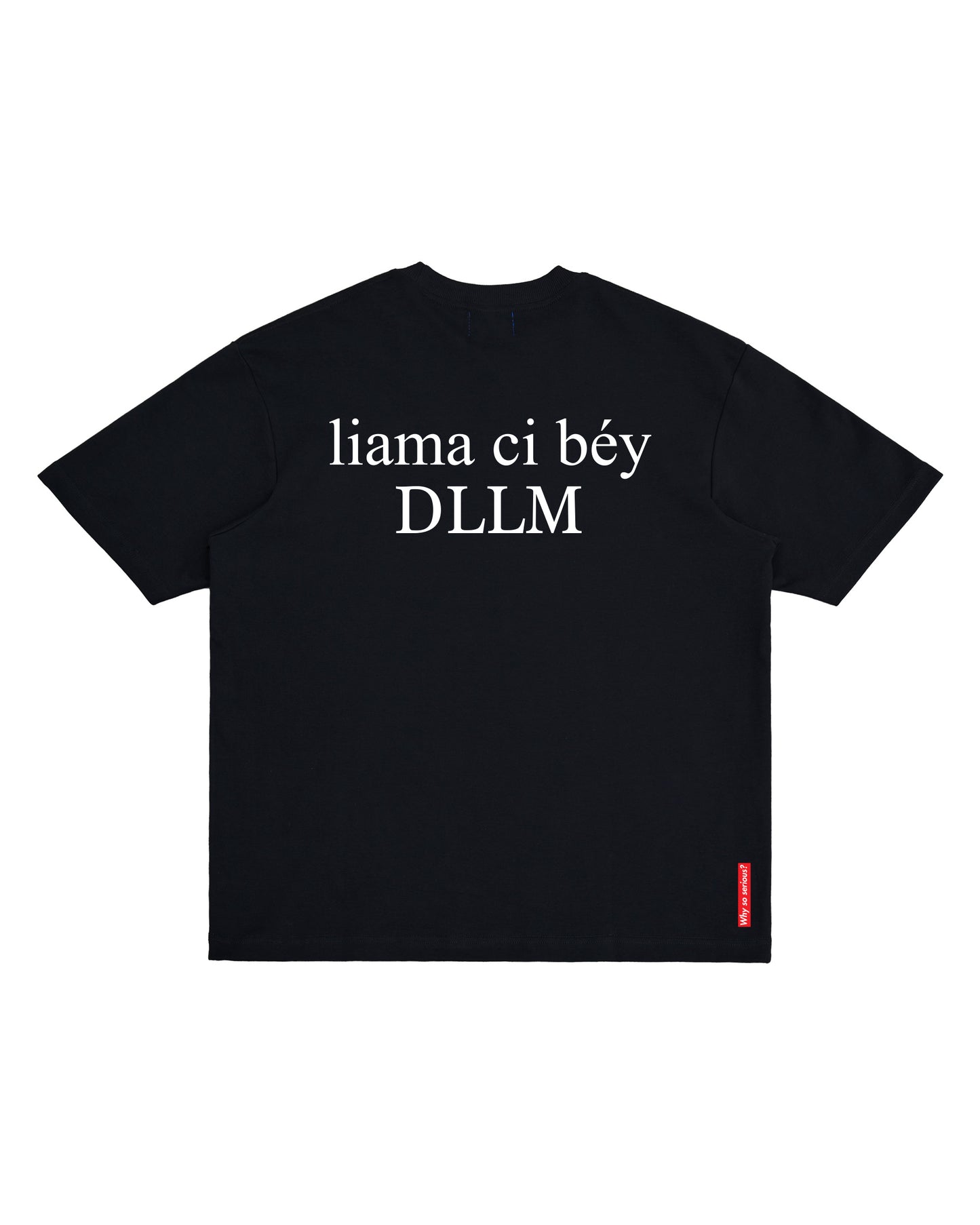 DLLM TEE (BLACK)